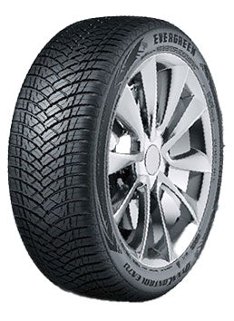 DYNACONTROL EA721 | 205/50/R17 H (93)