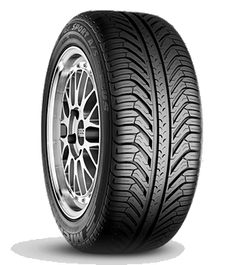 PILOT SPORT A/S PLUS | 255/45/R19 V (100)